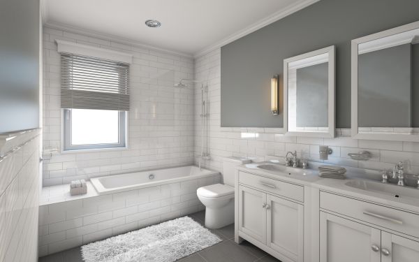 Cost of Restroom Remodeling in Meridian