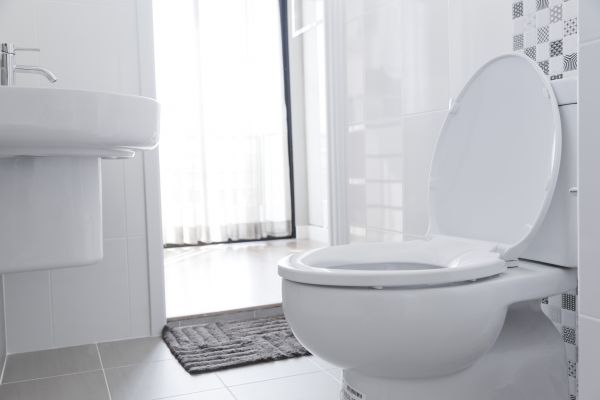 Cost of Toilet Relocation in Meridian
