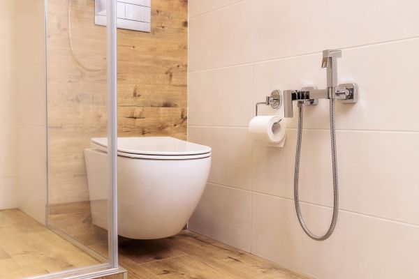 Cost of Universal Bathroom Remodeling in Meridian